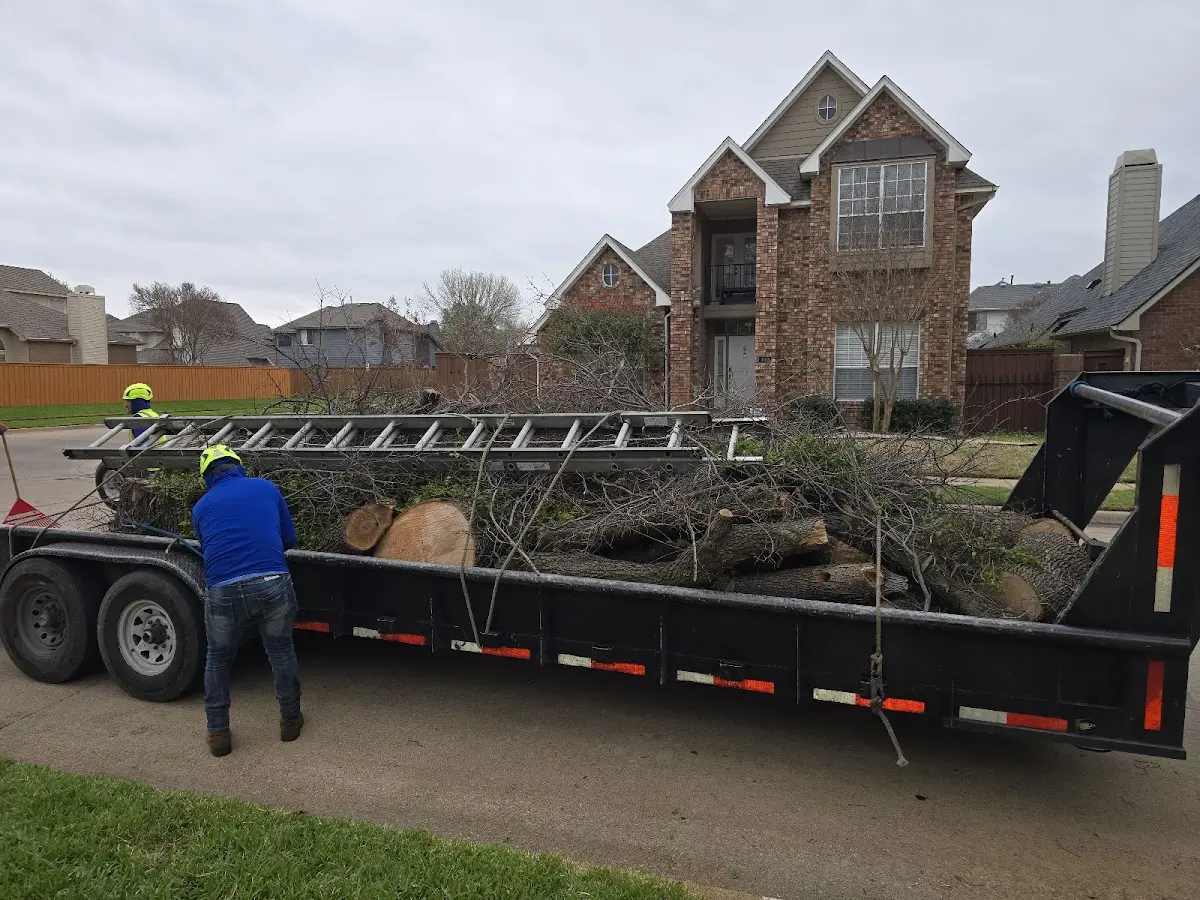 Expert Lot Clearing with proper safety equipment in Dawson